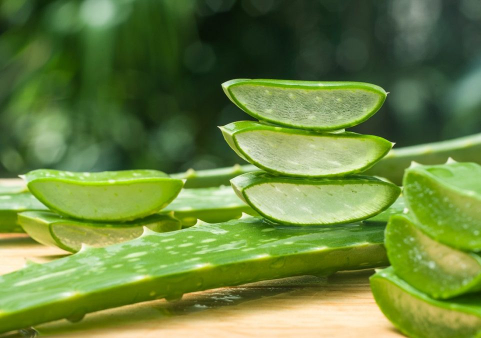 can you eat aloe vera