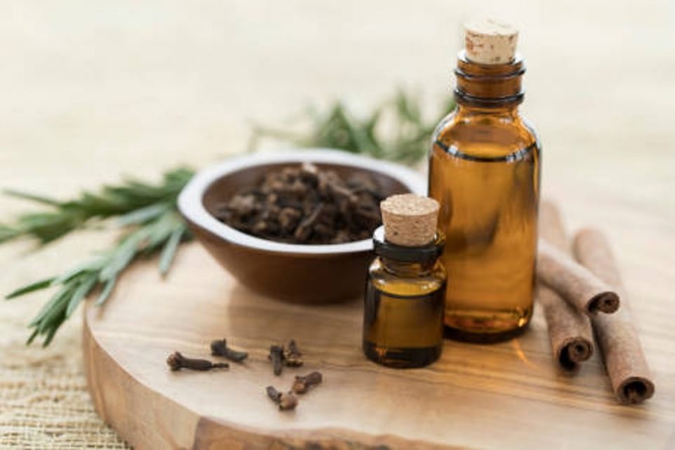 best essential oils in 2024