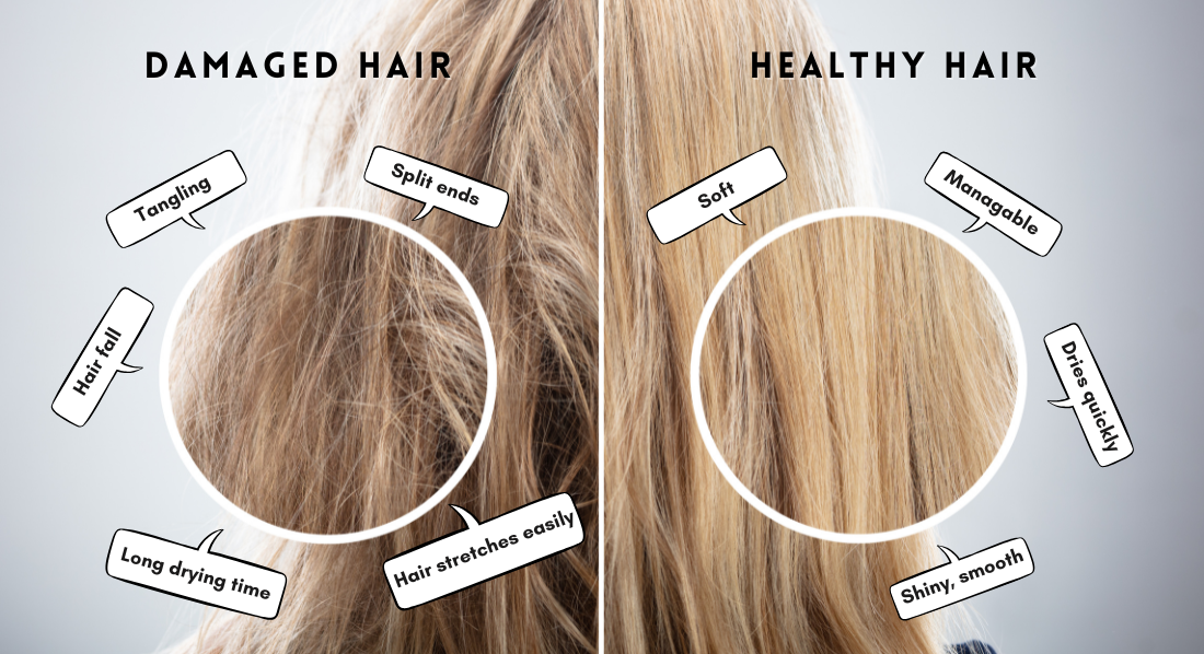 signs of damaged hair