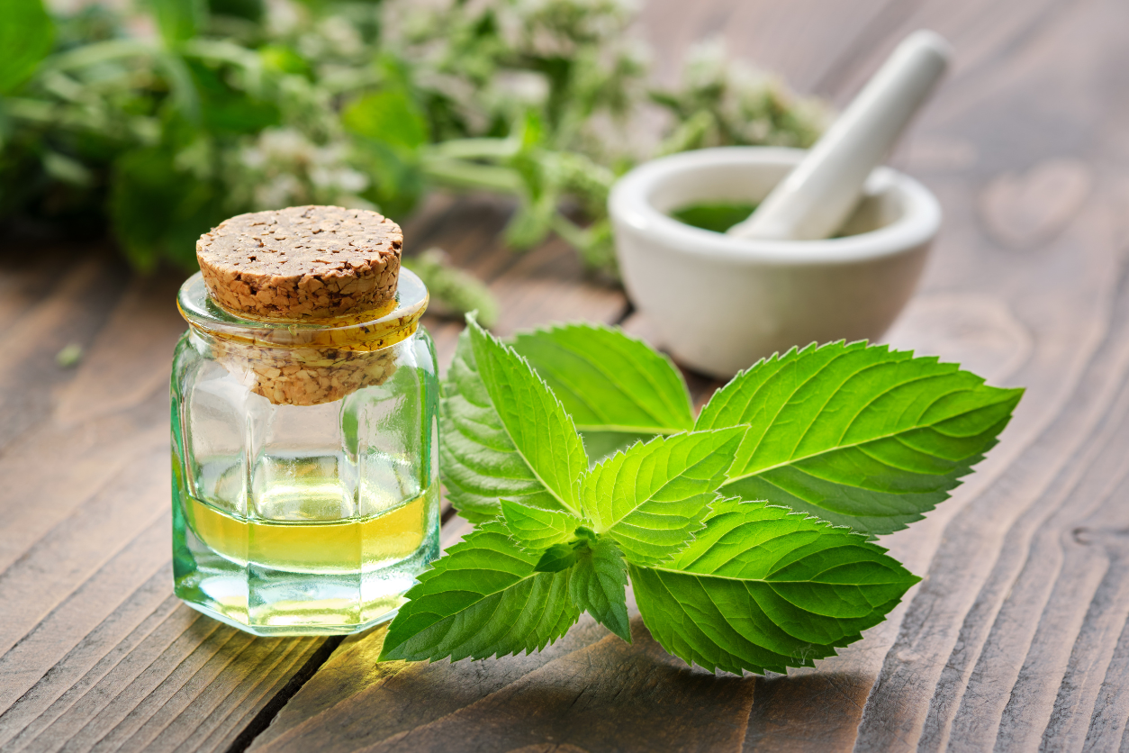 The Best Basil Essential Oils to Boost Your Wellness Routine